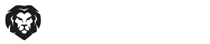 Liontron GmbH & Co.