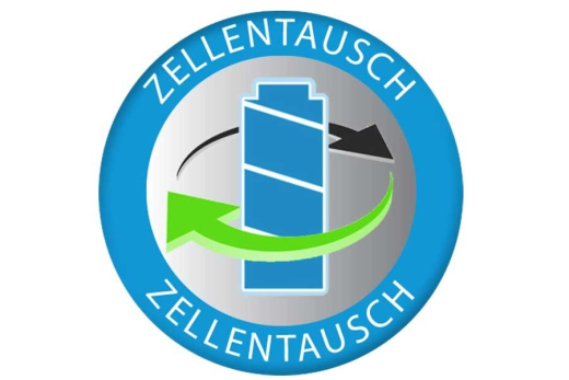 Zellentausch/Reparaturauftrag für Ergolet Personenlifter A/S Modell Maya 791